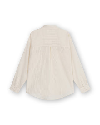 Transparent Stripe Blouse